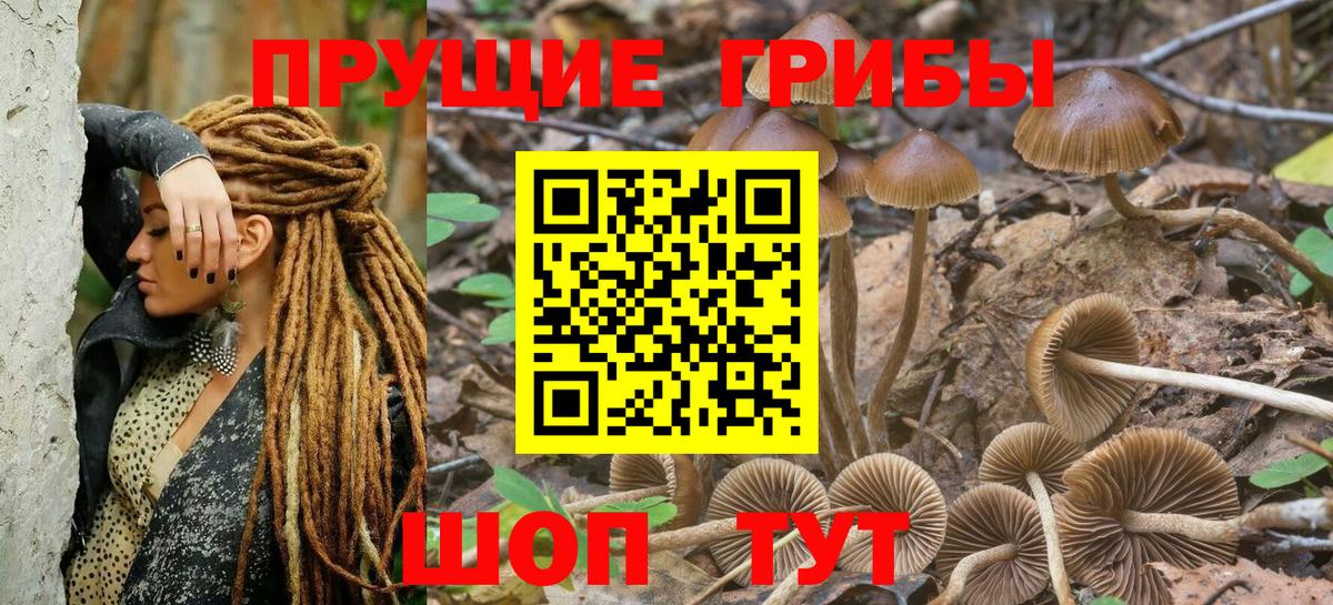закладки  Вход с VPN  Новочеркасск  Псилоцибиновые грибы Psilocybine cubensis 
