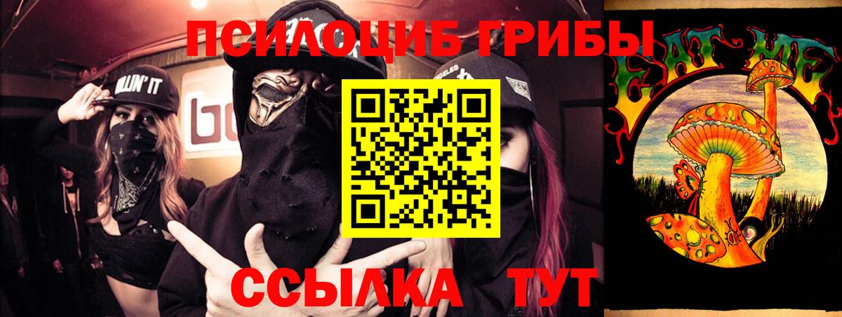Псилоцибиновые грибы Psilocybe Новочеркасск